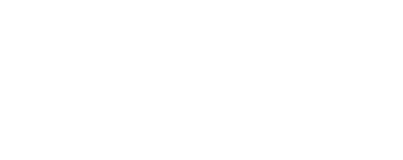 Bamboo dz